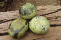 Polished Leopard Stone Galet / Palm Stones x 6 From Zimbabwe