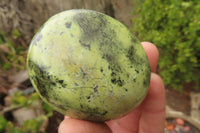 Polished Leopard Stone Palm Stones x 6 From Zimbabwe