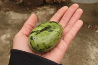 Polished Leopard Stone Galet / Palm Stones x 6 From Zimbabwe