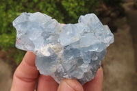 Natural Celestite Specimens x 12 From Sakoany, Madagascar