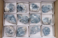 Natural Celestite Specimens x 12 From Sakoany, Madagascar