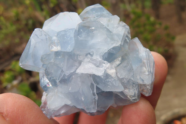 Natural Celestite Specimens x 12 From Sakoany, Madagascar