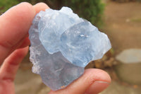 Natural Celestite Specimens x 12 From Sakoany, Madagascar