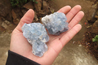 Natural Celestite Specimens x 12 From Sakoany, Madagascar