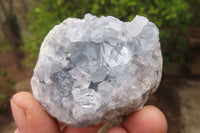 Natural Celestite Specimens x 12 From Sakoany, Madagascar