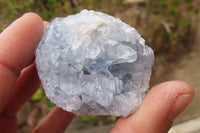 Natural Celestite Specimens x 12 From Sakoany, Madagascar