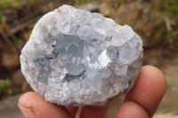 Natural Celestite Specimens x 12 From Sakoany, Madagascar