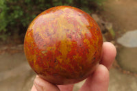 Polished Red Jasper Spheres x 2 From Madagascar