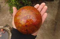 Polished Red Jasper Spheres x 2 From Madagascar