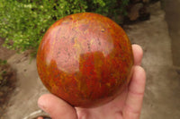 Polished Red Jasper Spheres x 2 From Madagascar