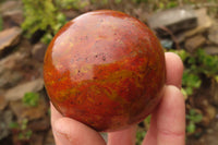 Polished Red Jasper Spheres x 2 From Madagascar