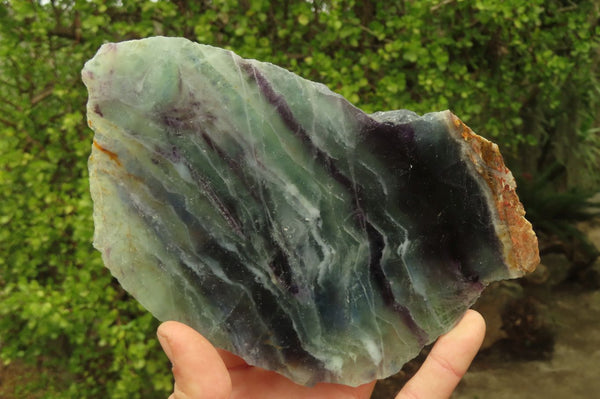 Polished On One Side Watermelon Fluorite Specimens x 2 From Namibia