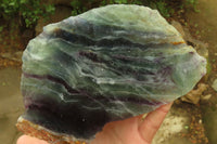 Polished On One Side Watermelon Fluorite Specimens x 2 From Namibia