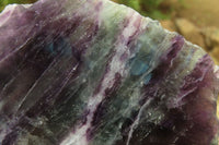 Polished On One Side Watermelon Fluorite Specimens x 2 From Namibia