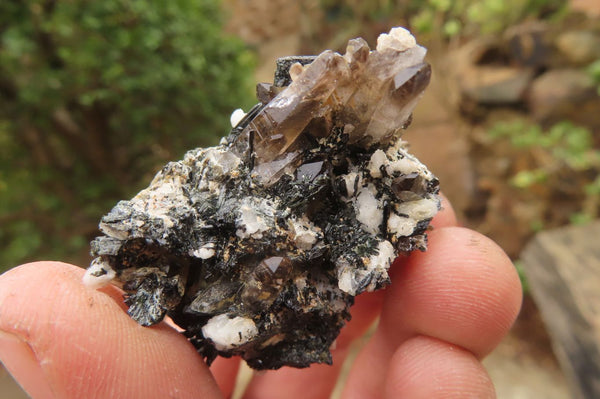 Natural Aegirine With Smokey Quartz Specimens x 20 From Zomba, Malawi