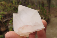 Natural Clear Quartz Crystals x 12 From Madagascar