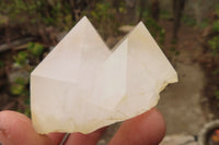 Natural Clear Quartz Crystals x 12 From Madagascar