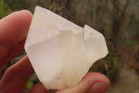 Natural Clear Quartz Crystals x 12 From Madagascar