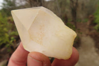 Natural Clear Quartz Crystals x 12 From Madagascar