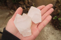 Natural Clear Quartz Crystals x 12 From Madagascar