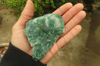 Natural Green Jade Cobbed Specimens x 12 From Swaziland