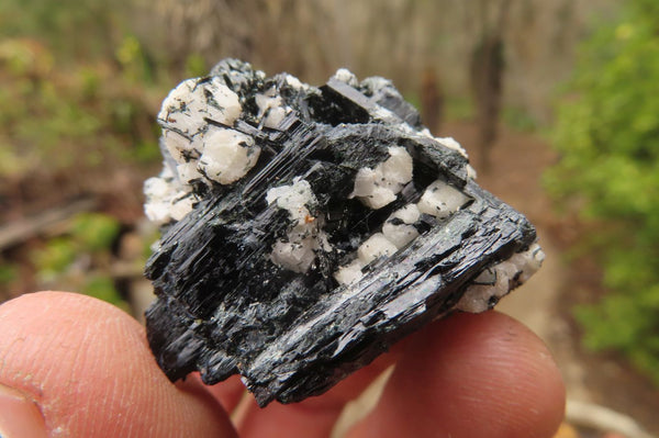 Natural Aegirine With Black Schorl Specimens x 20 From Zomba, Malawi