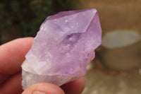 Polished Jacaranda Amethyst Single Crystals x 12 From Zambia