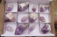 Polished Jacaranda Amethyst Single Crystals x 12 From Zambia