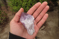 Polished Jacaranda Amethyst Single Crystals x 12 From Zambia