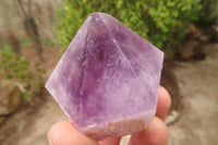 Polished Jacaranda Amethyst Single Crystals x 12 From Zambia