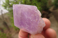 Polished Jacaranda Amethyst Single Crystals x 12 From Zambia