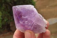 Polished Jacaranda Amethyst Single Crystals x 12 From Zambia