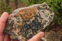 Natural Libethenite Crystals On Dolomite Matrix Specimens x 6 From Congo