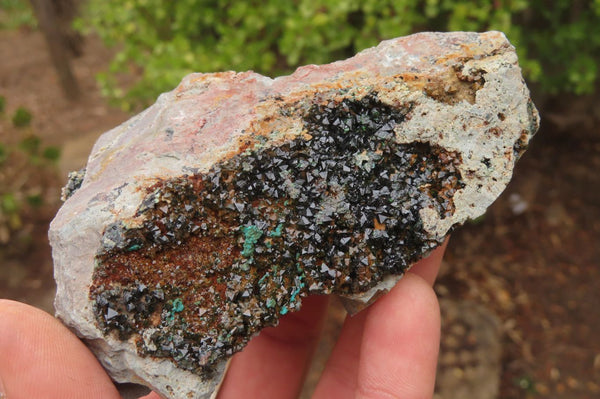 Natural Libethenite Crystals On Dolomite Matrix Specimens x 6 From Congo