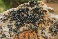 Natural Libethenite Crystals On Dolomite Matrix Specimens x 6 From Congo