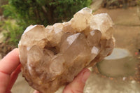 Natural Smokey Quartz Clusters x 2 From Luena, Congo