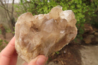 Natural Smokey Quartz Clusters x 2 From Luena, Congo