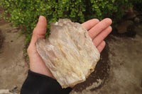 Natural Smokey Quartz Clusters x 2 From Luena, Congo