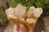 Natural Smokey Quartz Clusters x 2 From Luena, Congo