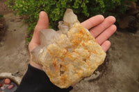 Natural Smokey Quartz Clusters x 2 From Luena, Congo