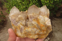 Natural Smokey Quartz Clusters x 2 From Luena, Congo