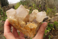 Natural Smokey Quartz Clusters x 2 From Luena, Congo