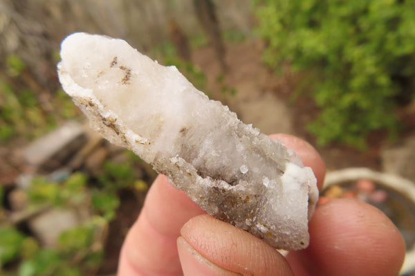 Natural Drusy Quartz Coated Calcite Pseudomorph Specimens x 35 From Lesotho