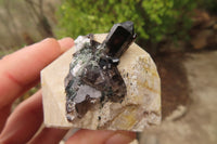 Natural Aegirine With Smokey Quartz Specimens x 12 From Zomba, Malawi