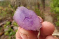 Natural Amethyst Crystals x 20 From Chiredzi, Zimbabwe