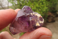 Natural Amethyst Crystals x 20 From Chiredzi, Zimbabwe