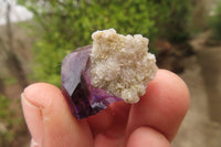 Natural Amethyst Crystals x 20 From Chiredzi, Zimbabwe