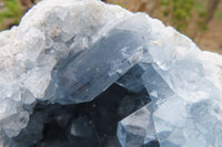 Natural Celestite Geode x 1 From Sakoany, Madagascar