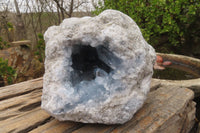 Natural Celestite Geode x 1 From Sakoany, Madagascar