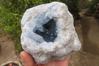 Natural Celestite Geode x 1 From Sakoany, Madagascar